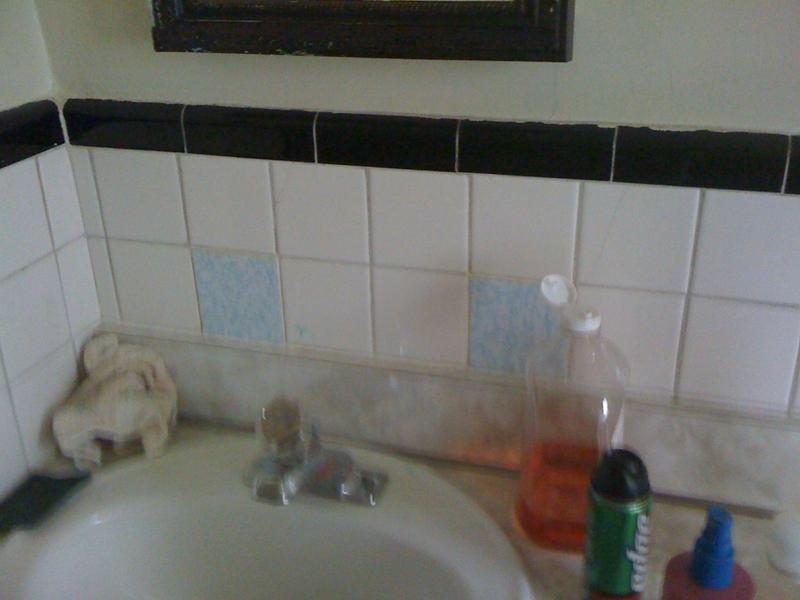 3131 photo 10