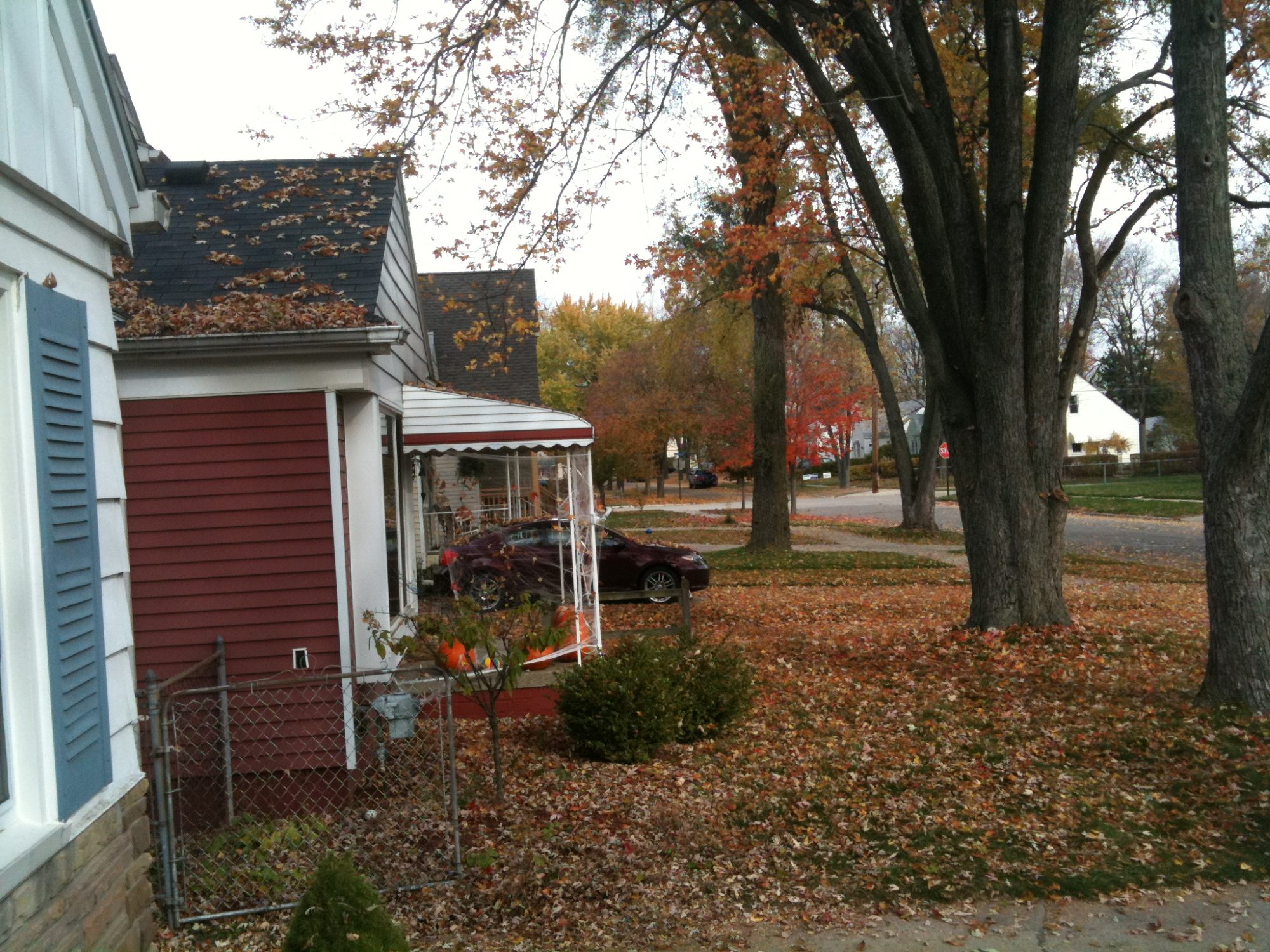 3131 photo 103