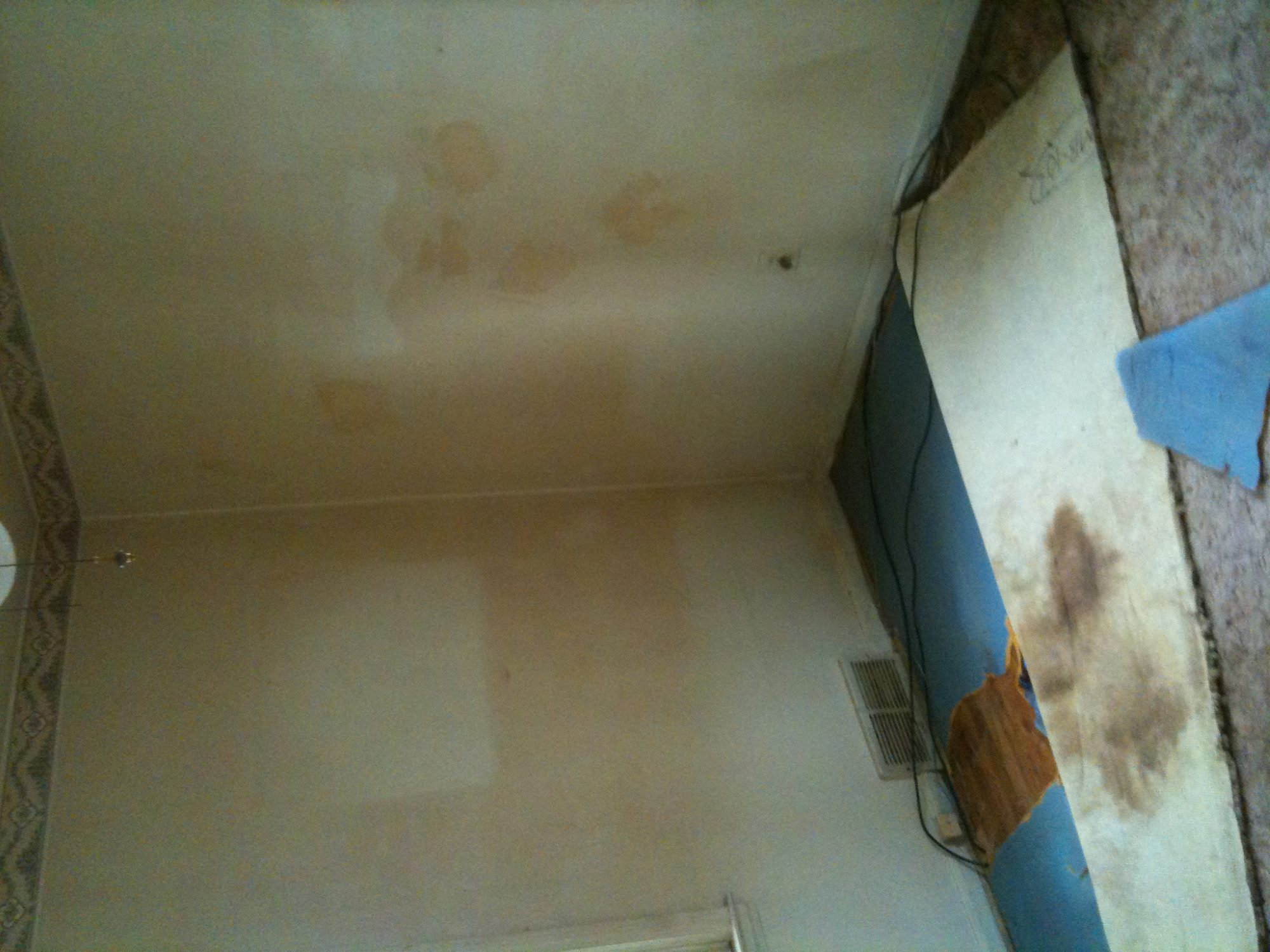 3131 photo 110