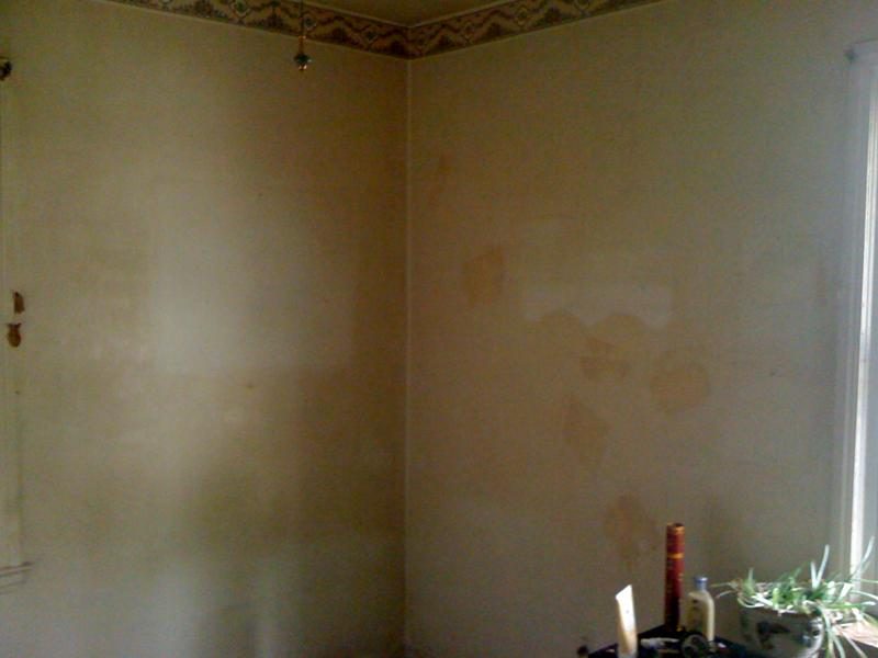 3131 photo 12