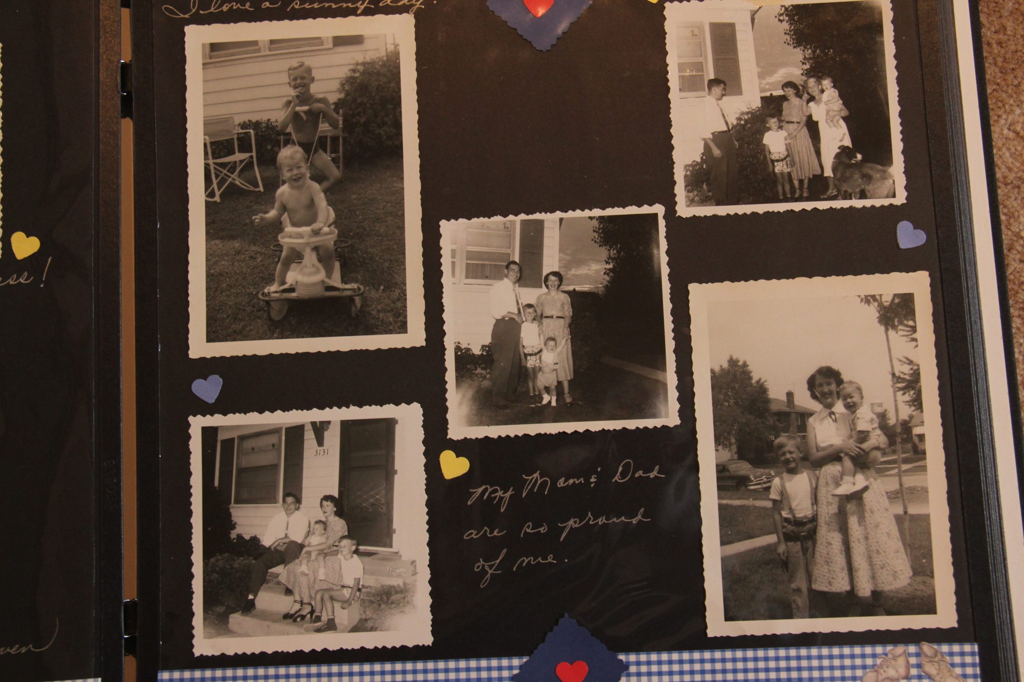 3131 photo 126
