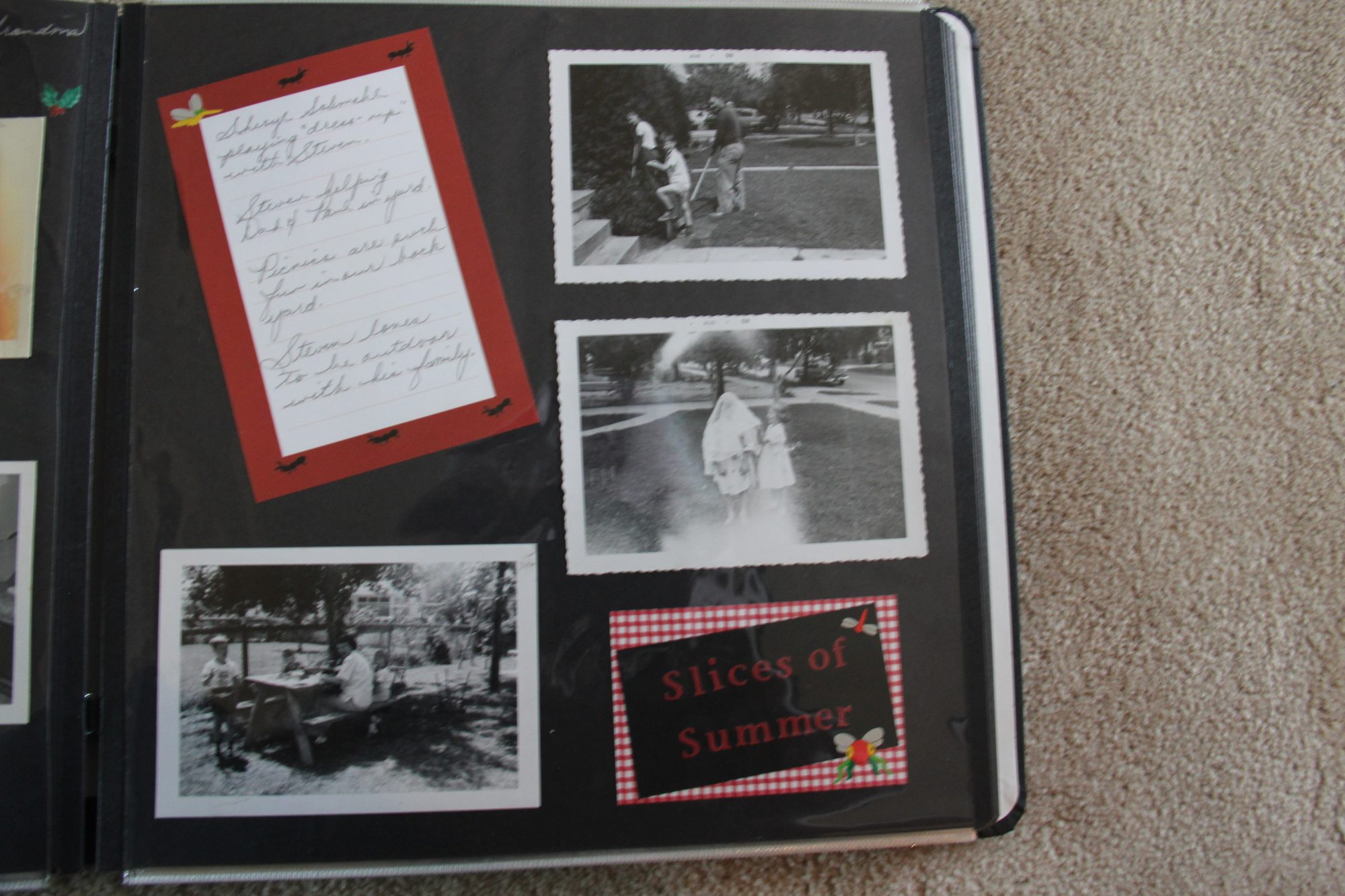 3131 photo 133