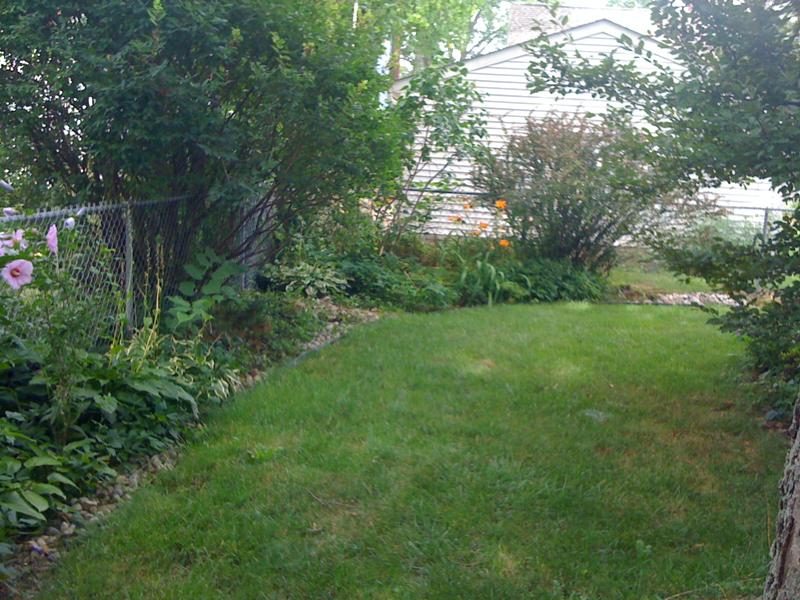 3131 photo 2