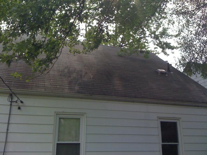 3131 photo 35