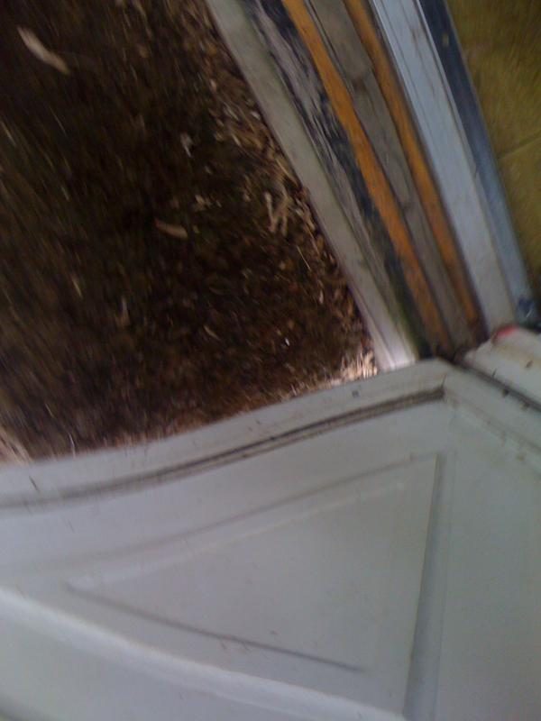 3131 photo 37