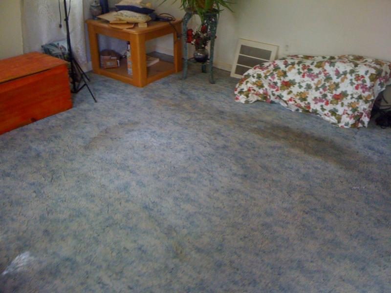 3131 photo 38