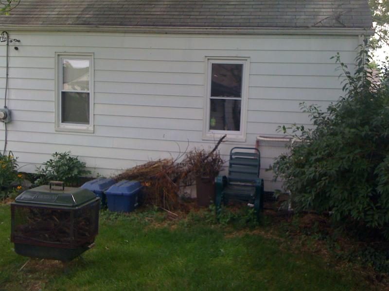 3131 photo 4