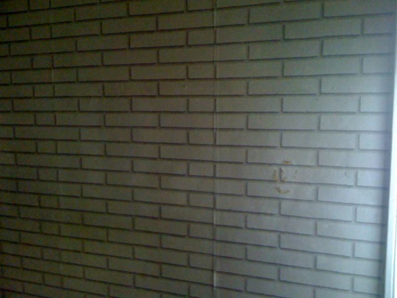 3131 photo 43