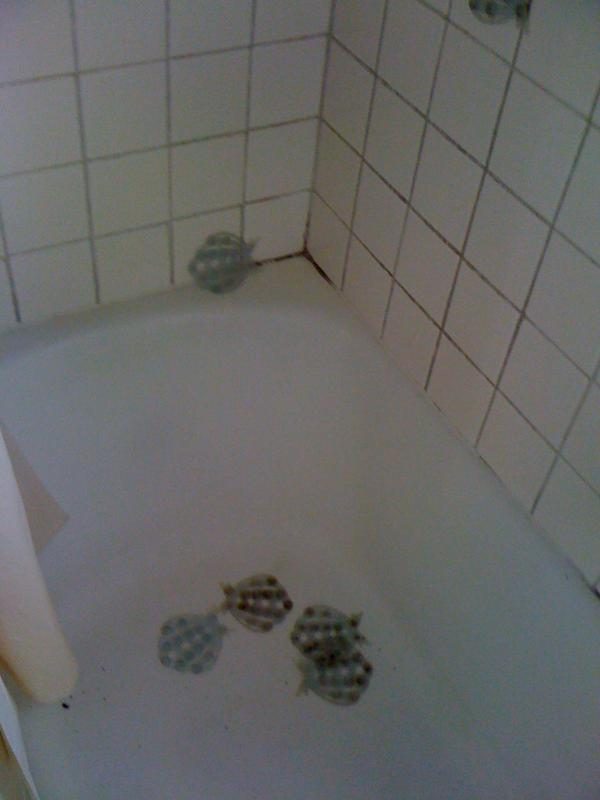 3131 photo 47