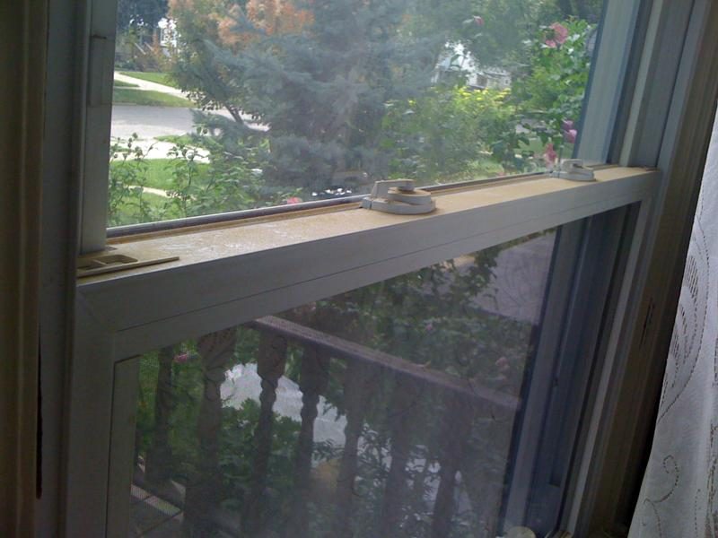 3131 photo 7