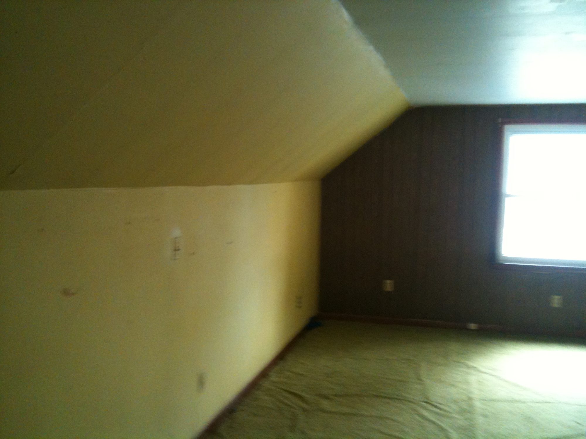 3131 photo 89