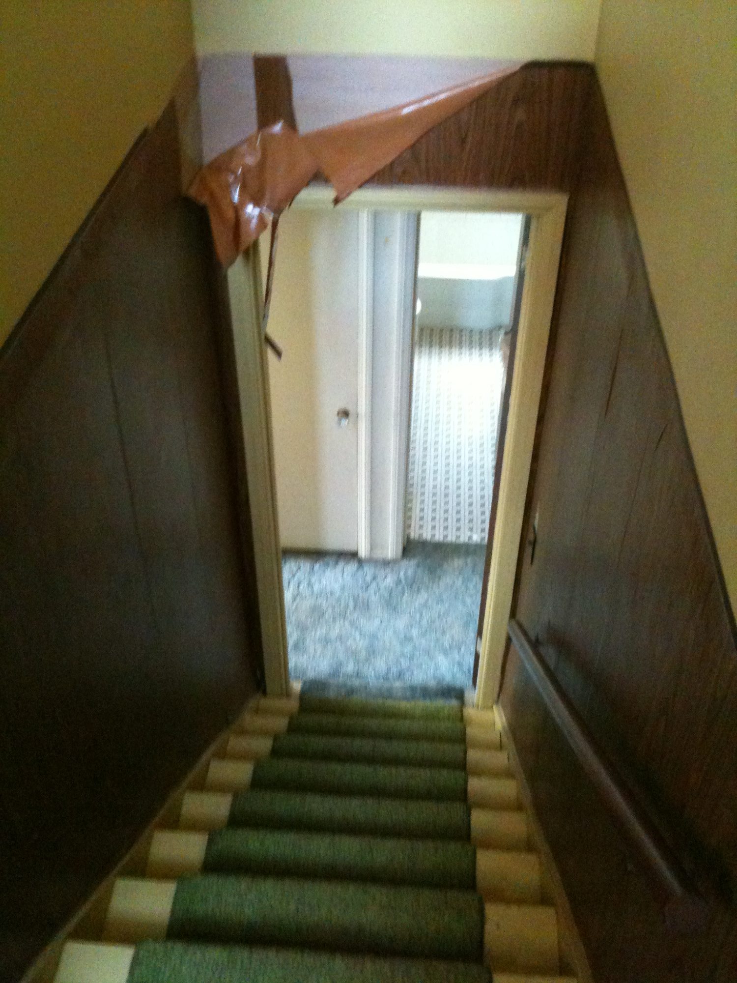 3131 photo 90