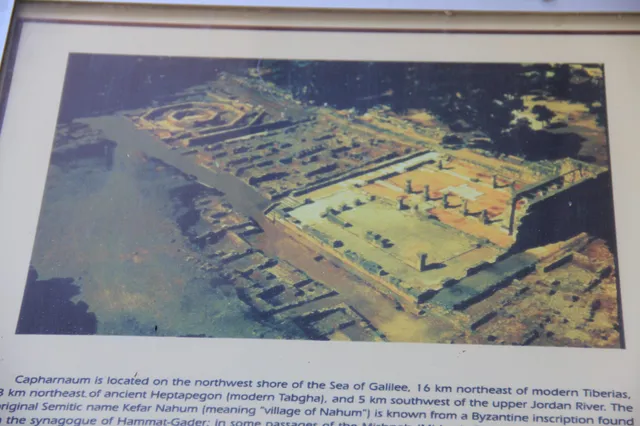 Capharnaum 52