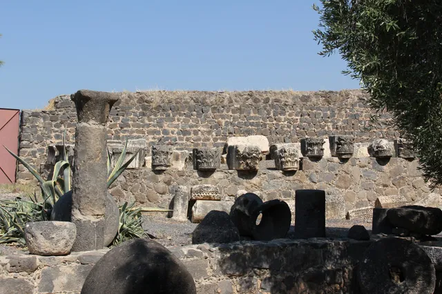 Capharnaum 6