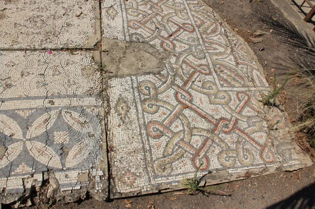Capharnaum 75