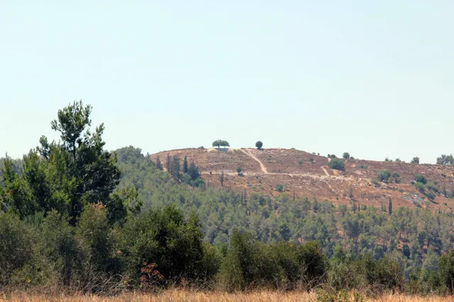 David and Goliath image 6