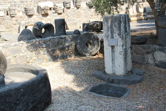 Capharnaum 10