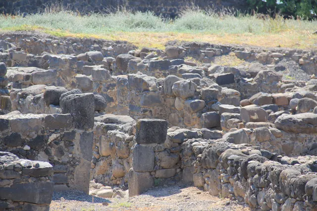 Capharnaum 34
