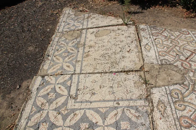 Capharnaum 74