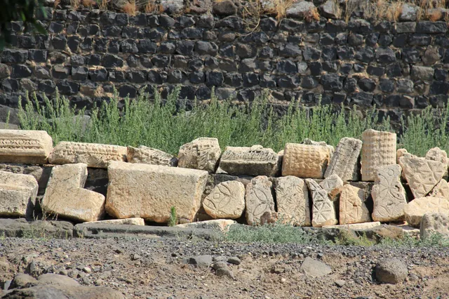 Capharnaum 17