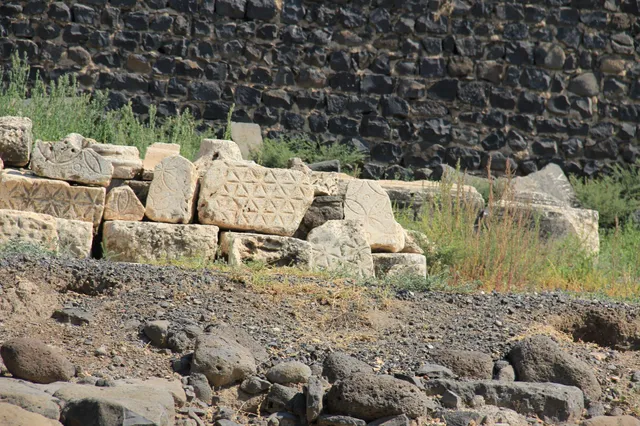 Capharnaum 18