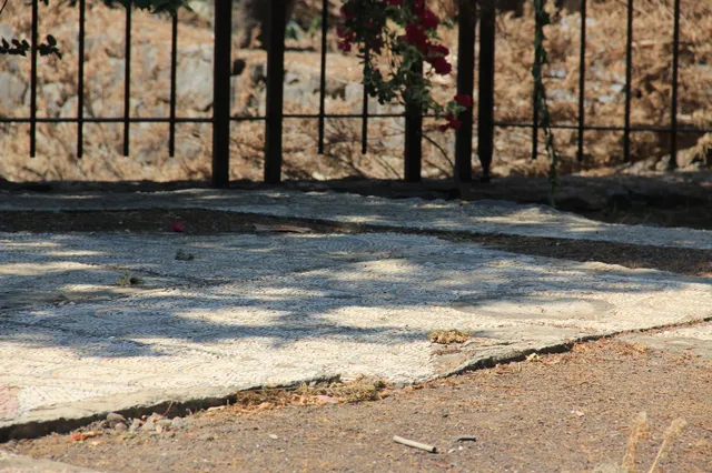 Capharnaum 67