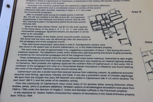 Capharnaum 53