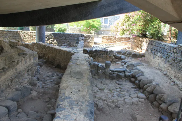 Capharnaum 43