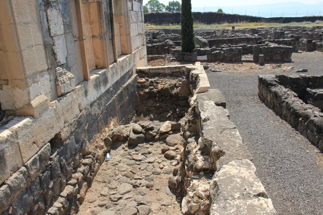 Capharnaum 31