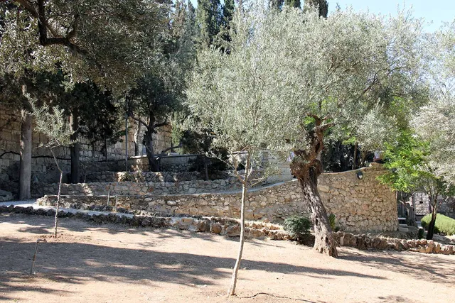 Gethsemane image 13