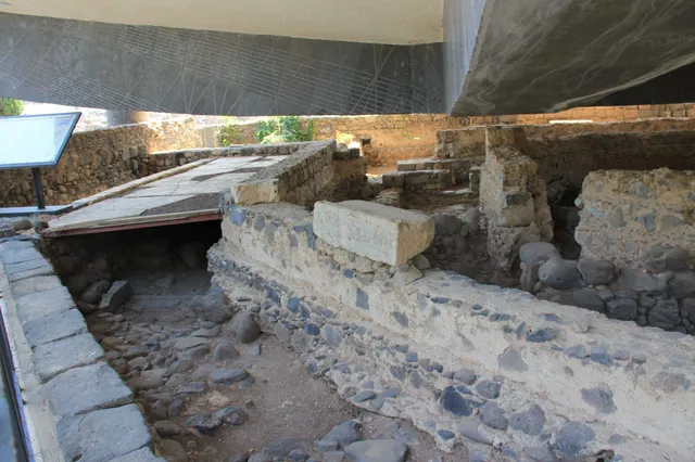 Capharnaum 45