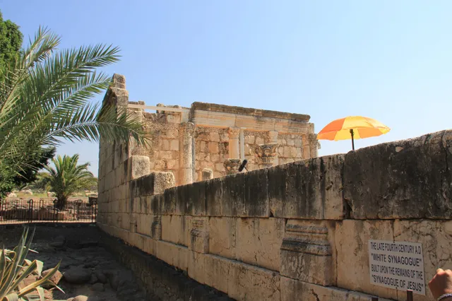 Capharnaum 21