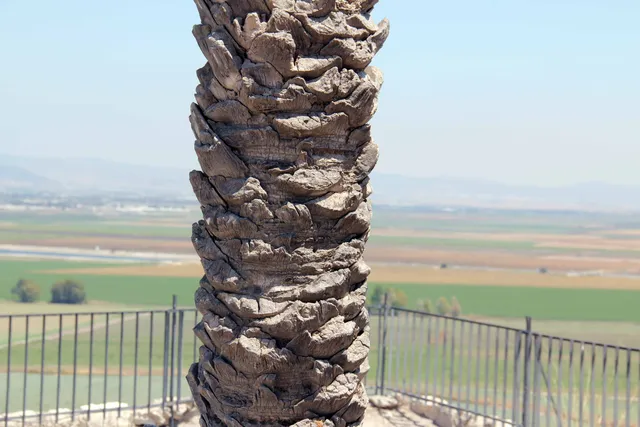 Megiddo image 48