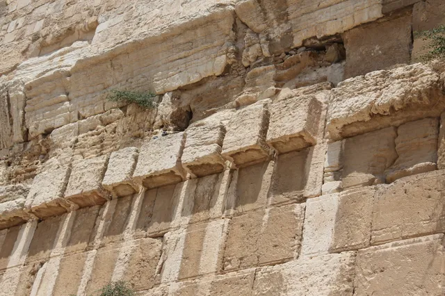 Robinson's Arch 5