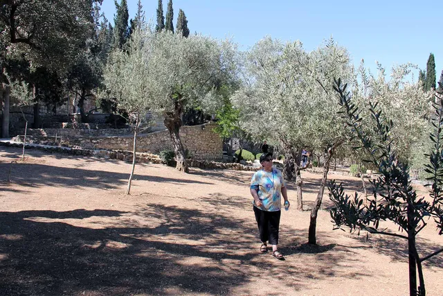 Gethsemane image 14