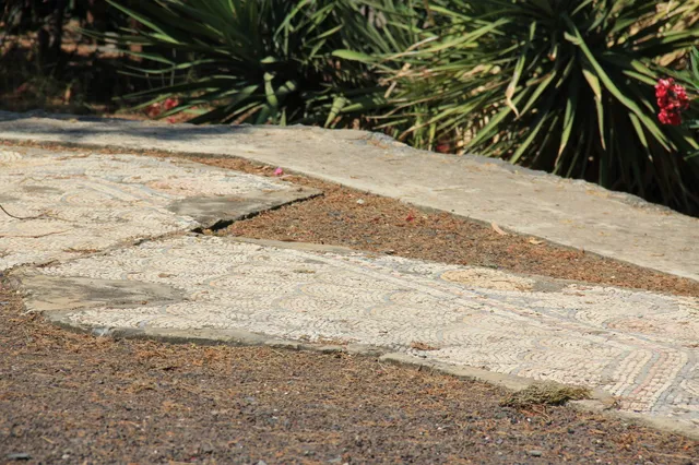 Capharnaum 65