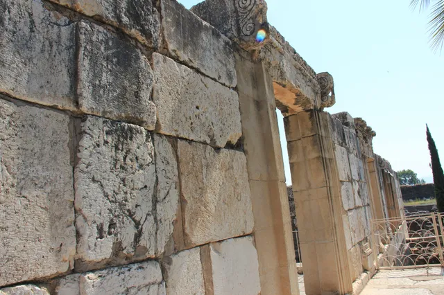 Capharnaum 26
