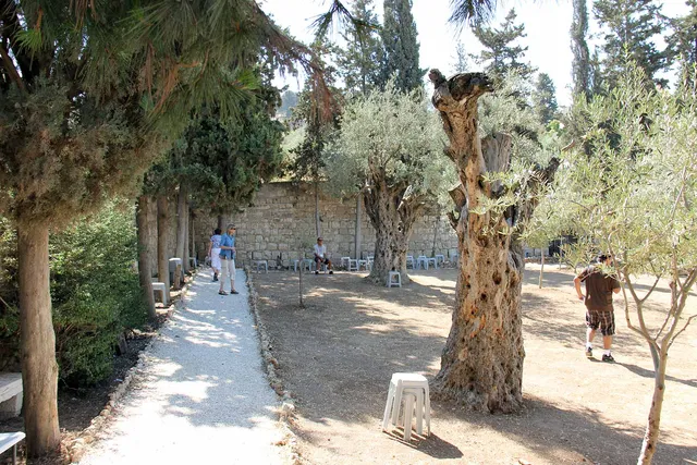 Gethsemane image 11