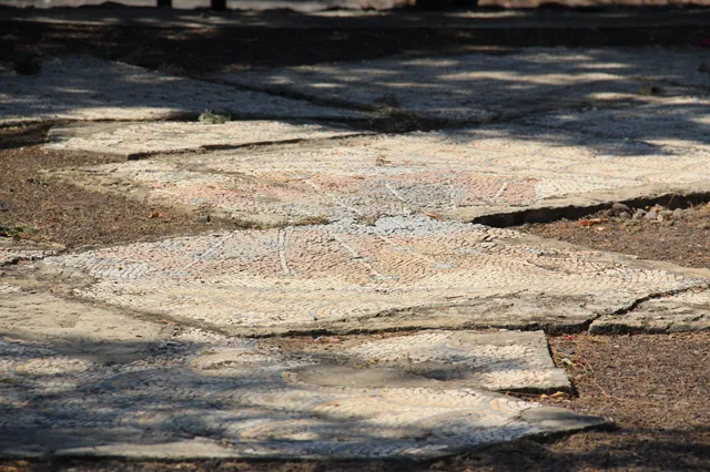 Capharnaum 63