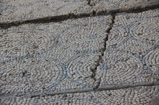Capharnaum 48