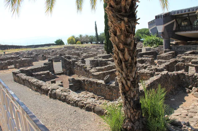 Capharnaum 28