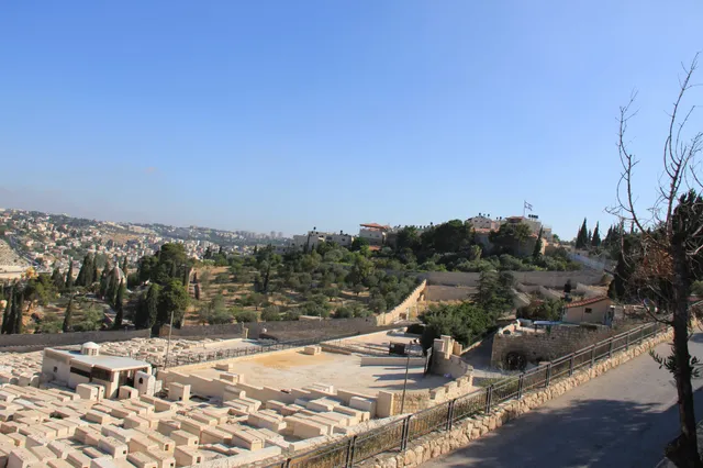 Mount of Olives 16