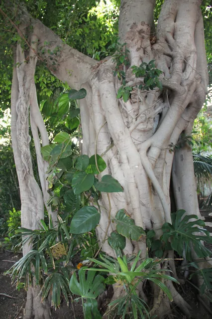 Rosh HaNikra Grottoes 40