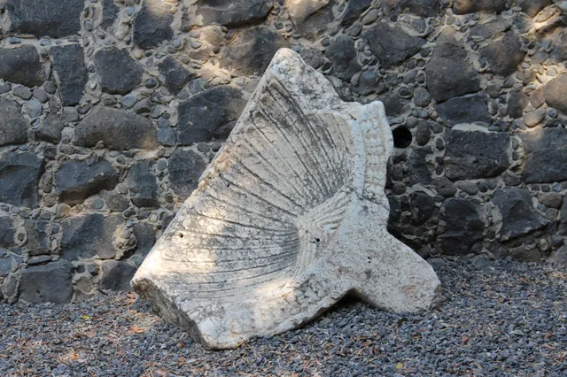 Capharnaum 12